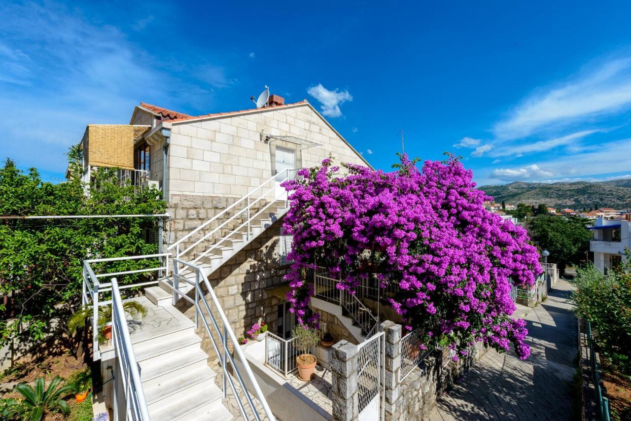 Beach Lapad Apartment Villa Tolja Dubrownik Zewnętrze zdjęcie